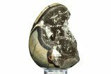 Septarian Dragon Egg Geode - Barite Crystals #308814-2